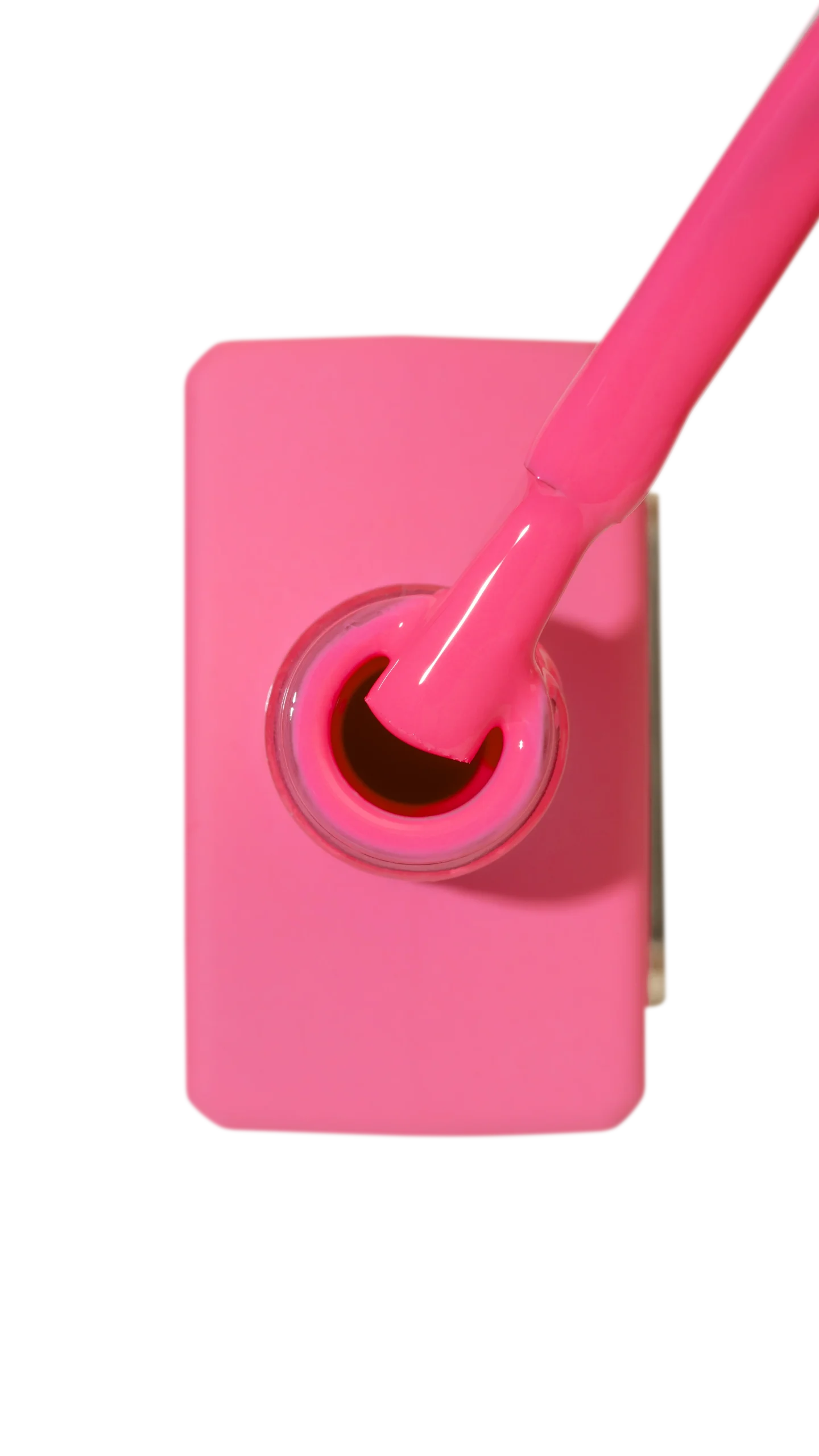 Fashion Fuchsia Fashion Fuchsia